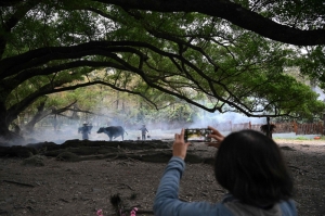 Farming for likes: Xiapu turns rural life into pasture-perfect tourist attraction