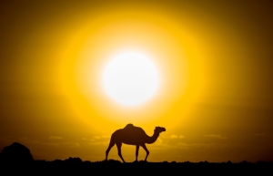 January smashes heat record, surprising scientists