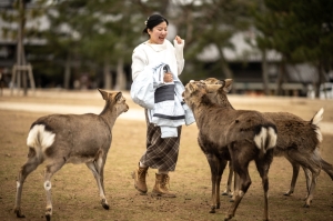Guardians of Nara toil to keep Japanese city’s beloved deer safe from littering tourists