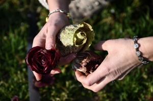 Insidious and invisible: How Italian mothers unwittingly poisoned their children with ‘forever chemicals’