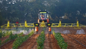 Pesticides pushing world towards extinction-level event, scientists warn