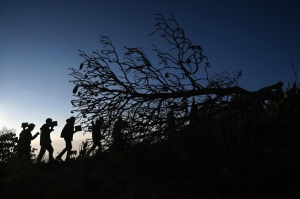 Nepal community fights to save sacred forests from cable cars