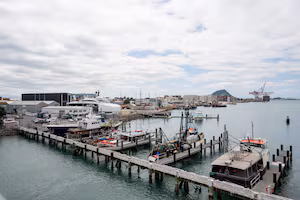 Tauranga marine precinct sale could cause 'irreversible harm', court told