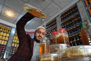 Where have all the flowers gone? Pakistani beekeepers battle climate change to keep hives buzzing and honey flowing