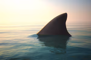 Woman airlifted to hospital after shark attack in Sydney