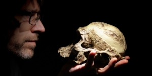 Human ancestors making ‘bone tech’ 1.5 million years ago, say scientists