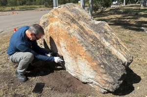 Wasn’t it a replica? Real dinosaur footprints went unnoticed in rural Australian school for 20 years
