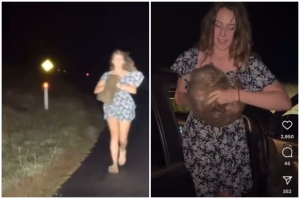 ‘Never better day for baby wombats’: American influencer leaves Australia after sparking fury with animal-snatching video (VIDEO)