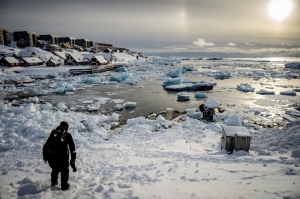 ‘Forever chemicals’ threaten health of Greenland Inuit hunters consuming polar bear, seal meat