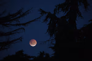 Photos: Kiwis treated to stunning spectacle of lunar eclipse