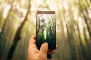 Nature’s soothing effect: Visual exposure to natural scenes, even digitally, shown to relieve pain