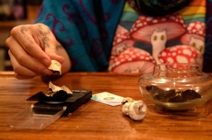 Legalising magic mushrooms under Trump? Psychedelic fans remain sceptical