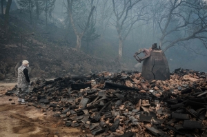 After losing ancient Gounsa Temple to wildfire, South Koreans race to save others
