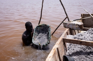 Back in the pink: Senegal salt lake gets its colour back