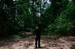 Saving the zogue-zogue: Brazilian farmers and NGOs unite for Amazon’s bushy-bearded monkeys