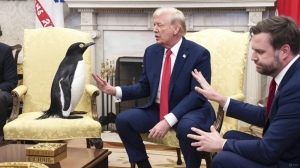 Trump slaps tariffs on empty island, internet sends in the penguins