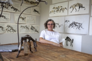 Normalising otherness: South African artist uses eco-queer art to redefine perceptions of hyenas