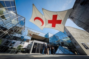 ‘They are our eyes’: ‘Image whisperers’ bring art to life for the blind at Red Cross museum in Geneva