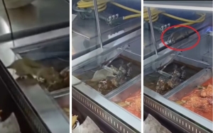 Uninvited guest: Viral video of rat allegedly eating from food trays at Bandar Mahkota Cheras restaurant sparks outrage among online users