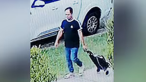 Hunt for fake good Samaritan who attacked 83-year-old Sydney woman