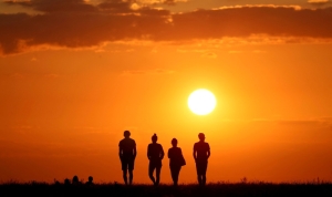 Where does consciousness live? Scientists say it may not be in our ‘smart’ brain at all