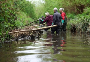 With floods on the rise, one English city is turning to beavers’ wisdom and wooden barriers