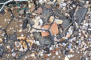 Asbestos-containing materials wash up on east Auckland beaches
