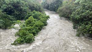 Teen rescued after being swept into swollen river north of Wellington