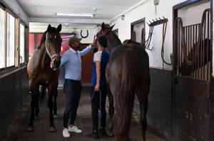 Syrians reclaim equestrian sport once dominated by Assad family