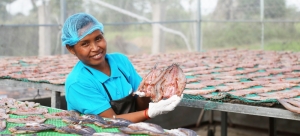 Cambodian women turn tide in seafood trade, now other nations want in