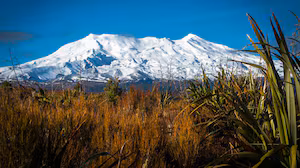 Iwi files court action against minister, DOC over Ruapehu ski fields