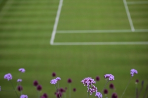 Tennis meets blooms: The art of creating Wimbledon’s picture-perfect grounds