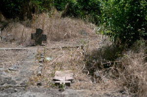 Before Dracula, there was Blagojevic: Serbian village stakes claim to ‘world’s first vampire’ as locals revive 1725 ‘blood drinker’ legend