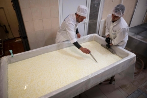 Bulgaria’s prisoners turn cheesemakers in Smolyan jail to earn early release